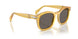 204/B1 - Yellow - Dark Grey