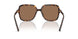 502/73 - Tortoise - Dark Brown