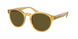 500573 - Tortoise - Dark Brown Olive