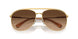 400474 - Gold - Gradient Brown