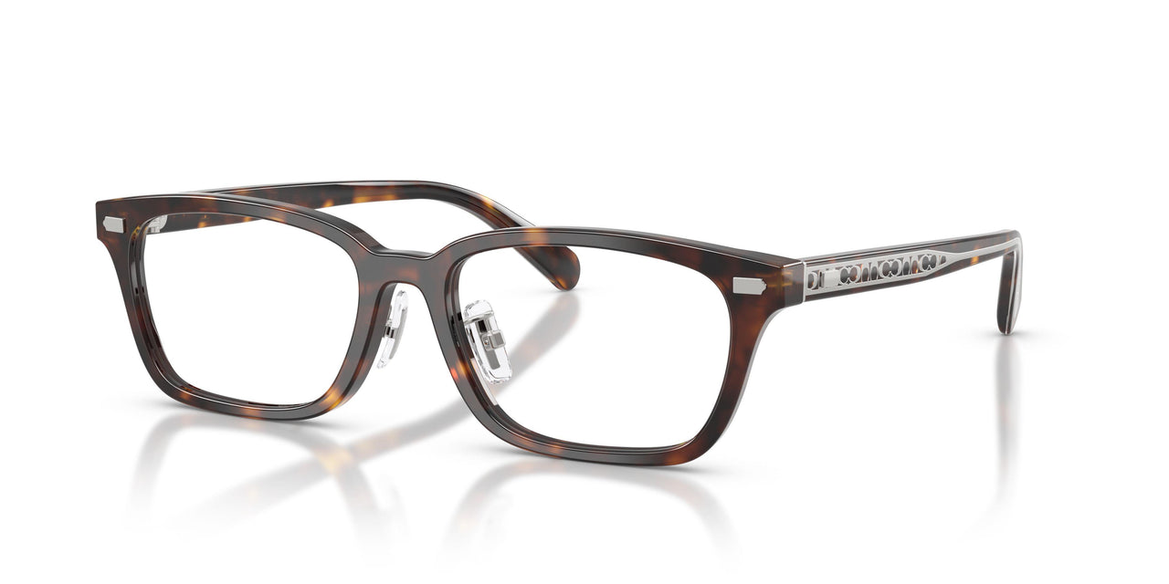 5120 - Tortoise