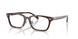 5120 - Tortoise