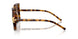 199213 - Tortoise - Light Brown Gradient