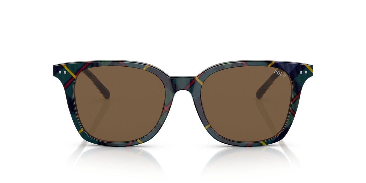 562573 - Multi - Brown