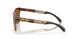 950302 - Brown - Prizm Tungsten Polarized