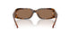205073 - Tortoise - Dark Brown