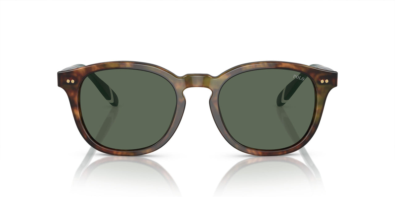 501771 - Tortoise - Bottle Green