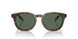 501771 - Tortoise - Bottle Green