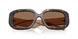 196473 - Tortoise - Brown