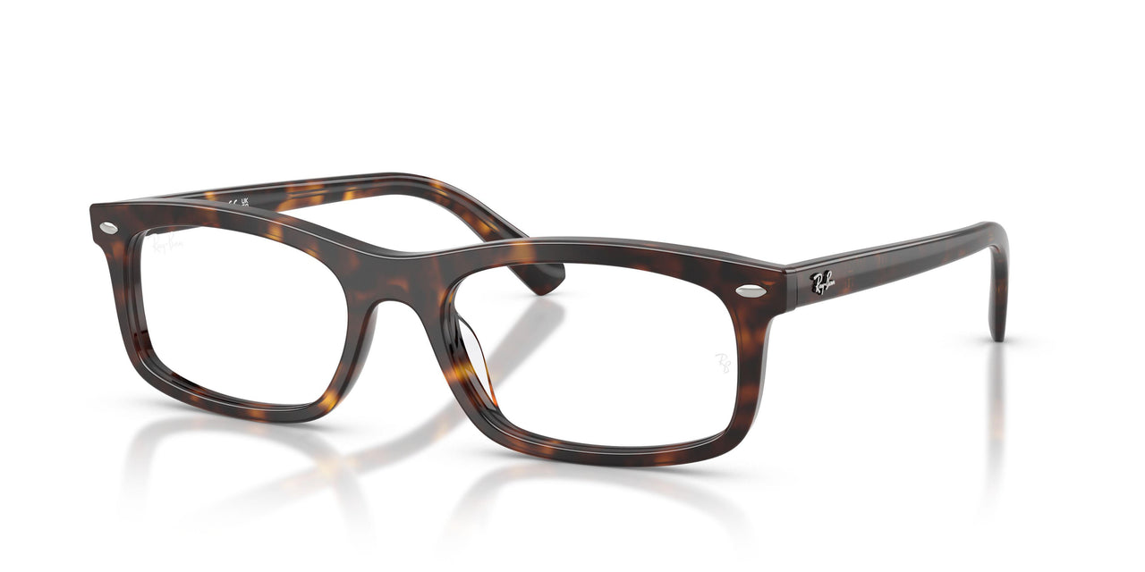 Ray-Ban 5450F Eyeglasses
