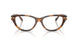 6089 - Tortoise