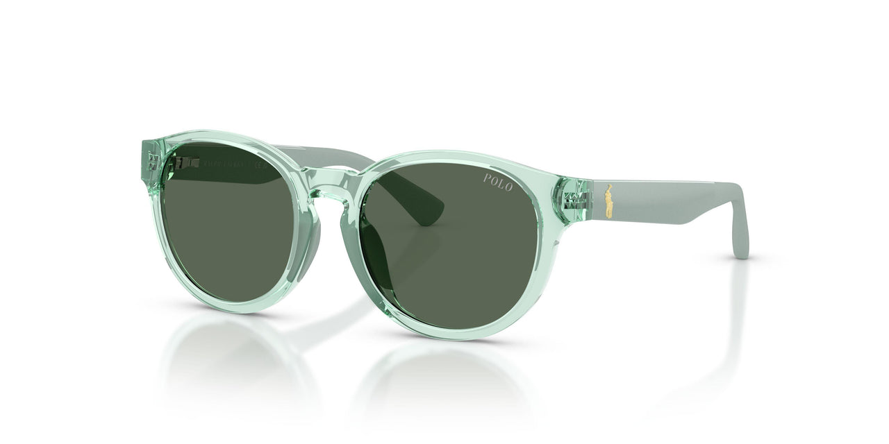 636771 - Green - Dark Green