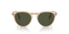 116931 - Brown - Green