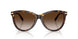 80153B - Tortoise - Brown Gradient