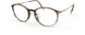 6032 - Havanna Walnut - ext. nosebridge + temple length