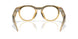 800208 - Yellow - Transitions Brown