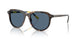 500380 - Tortoise - Dark Blue