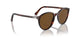 24/57 - Tortoise - Polar Brown