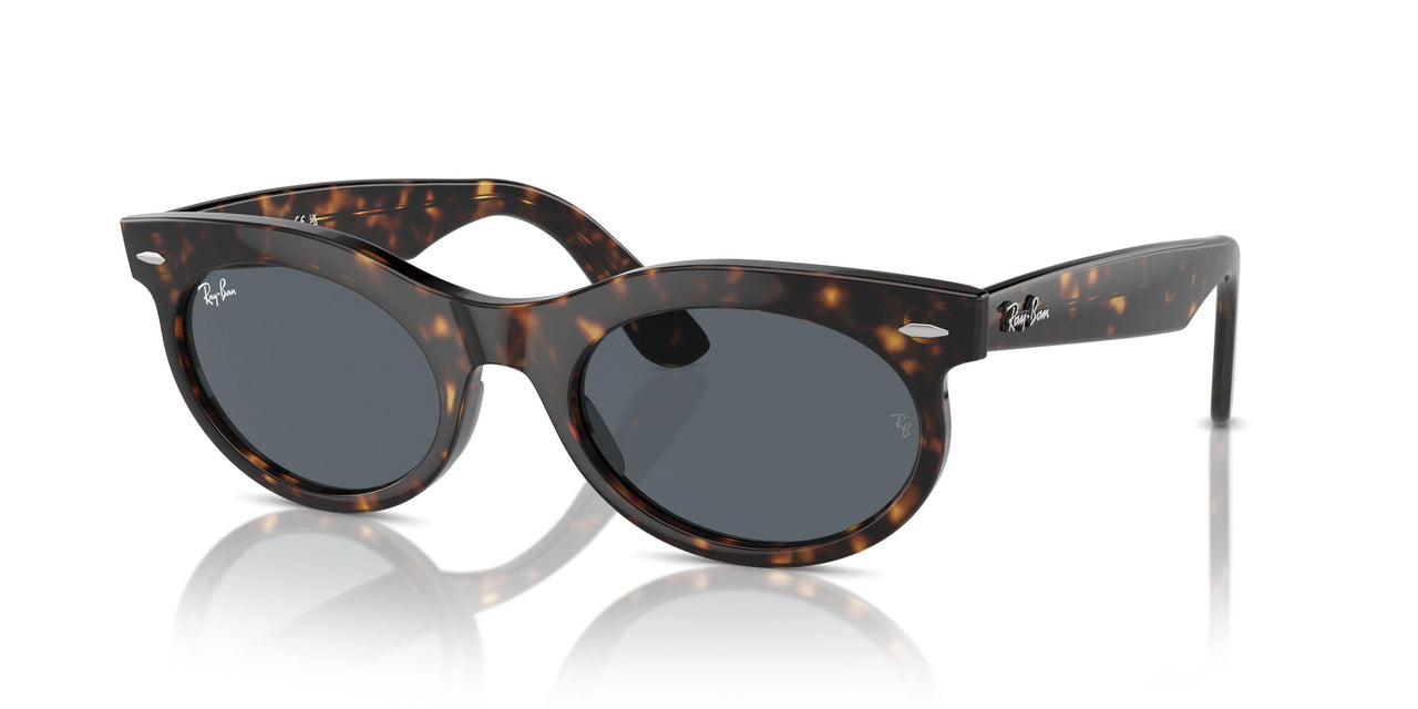 902/R5 - Tortoise - Blue
