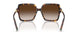 80153B - Tortoise - Brown Gradient