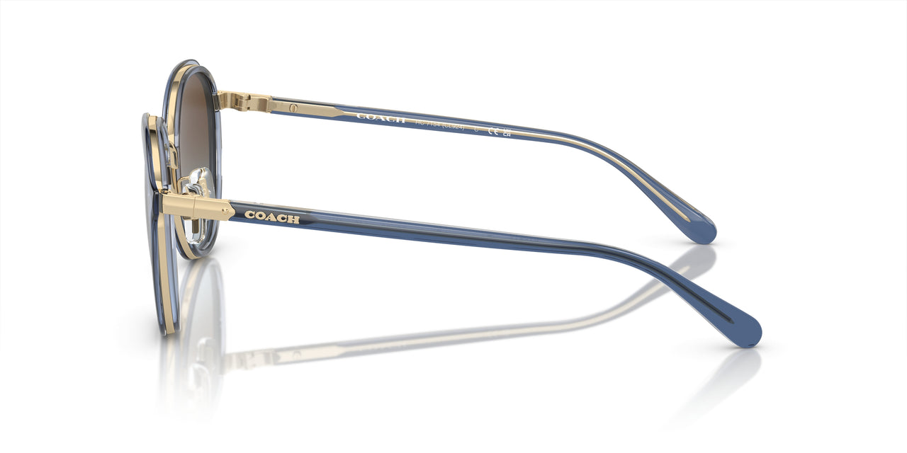 943513 - Blue - Brown Blue Gradient