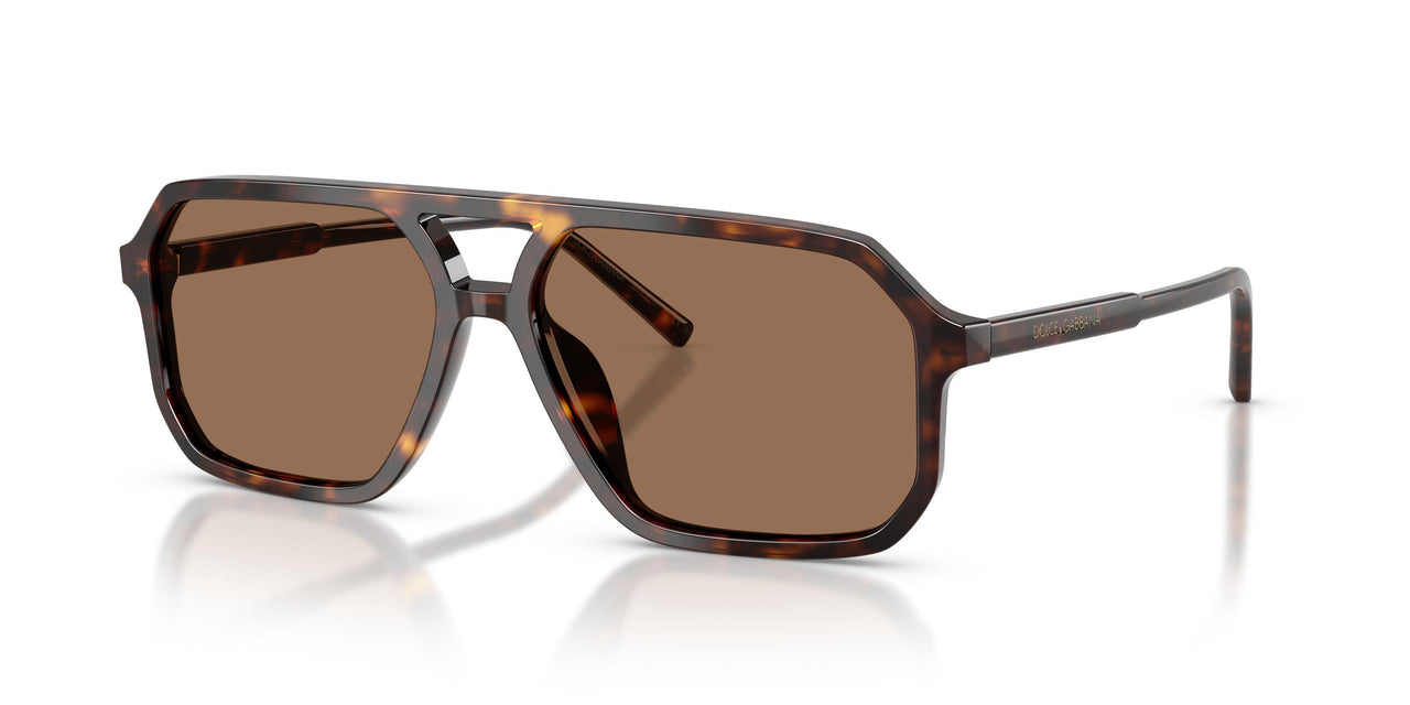 502/73 - Tortoise - Dark Brown