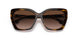 398113 - Brown - Brown Gradient