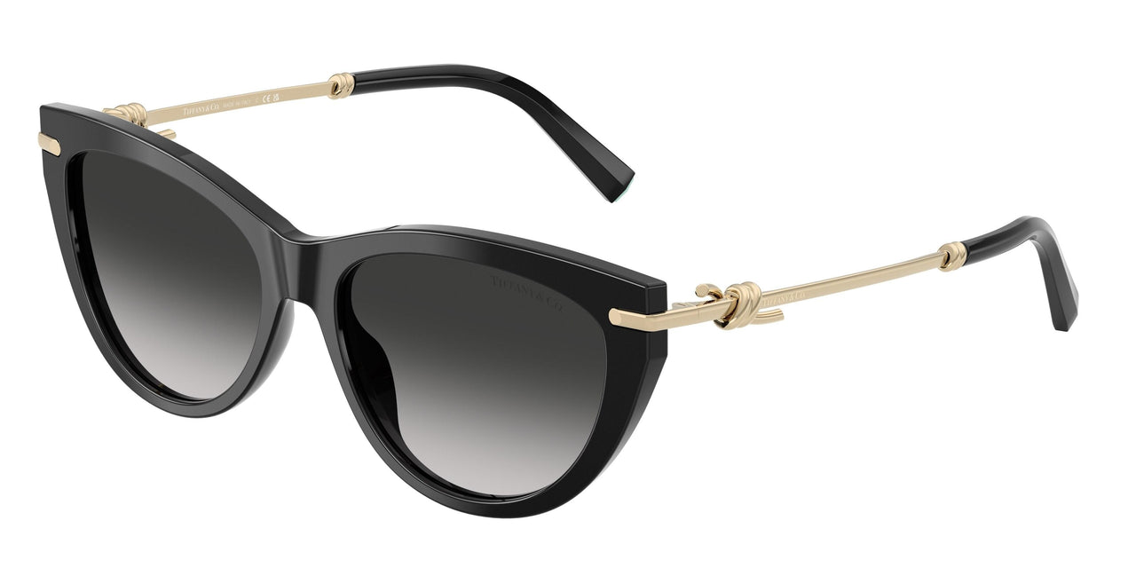 Tiffany 4253F Sunglasses