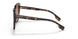 398213 - Brown - Brown Gradient
