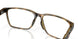 801702 - Tortoise