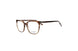 Divaldi DVO8192 Eyeglasses