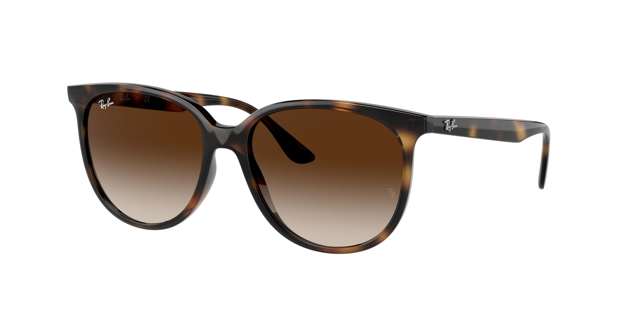 Ray-Ban 4378F Sunglasses