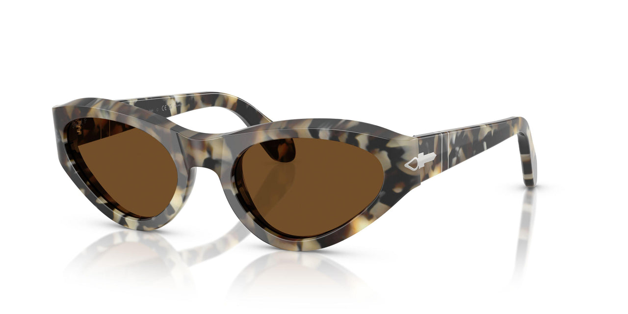 107157 - Tortoise - Brown Polar
