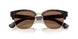 420573 - Brown - Dark Brown