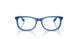 3999 - Blue - Clear
