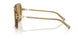 846173 - Brown - Ochre
