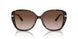 300613 - Tortoise - Brown Gradient