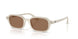 Ray-Ban Zuri 4455 Sunglasses