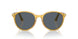 204/R5 - Yellow - Blue