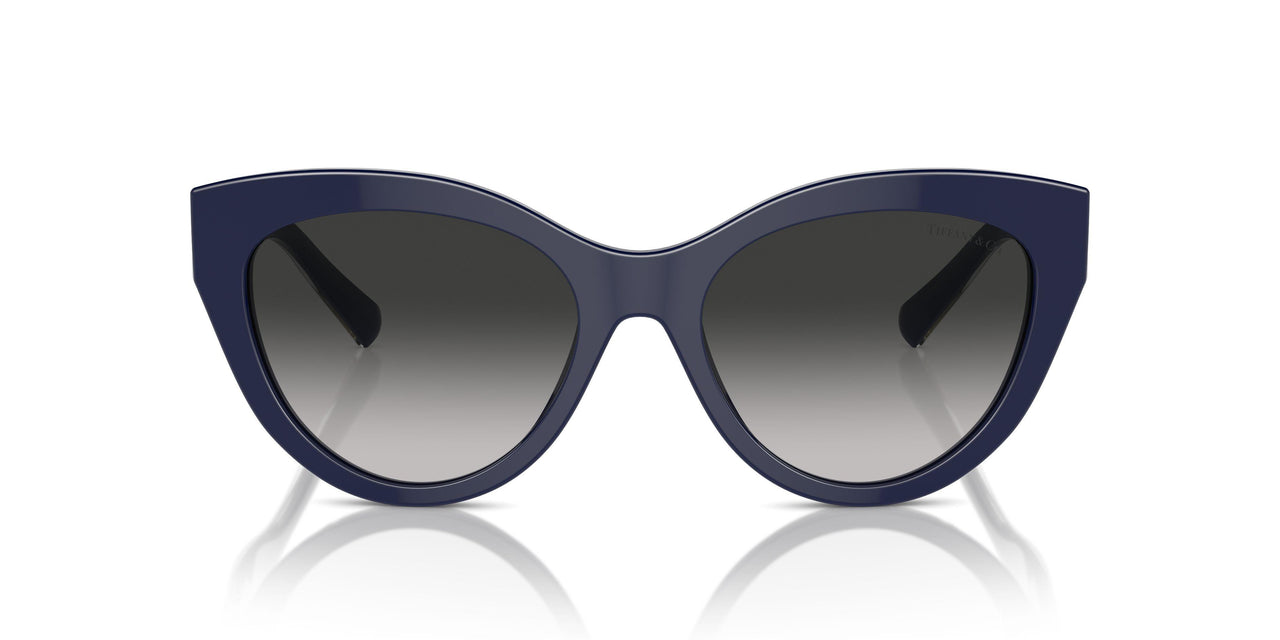 83963C - Blue - Grey Gradient