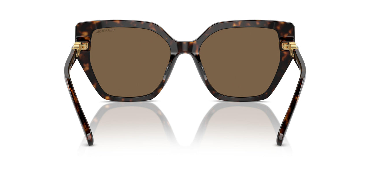 100273 - Brown - Dark Brown