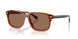 617573 - Brown - Brown
