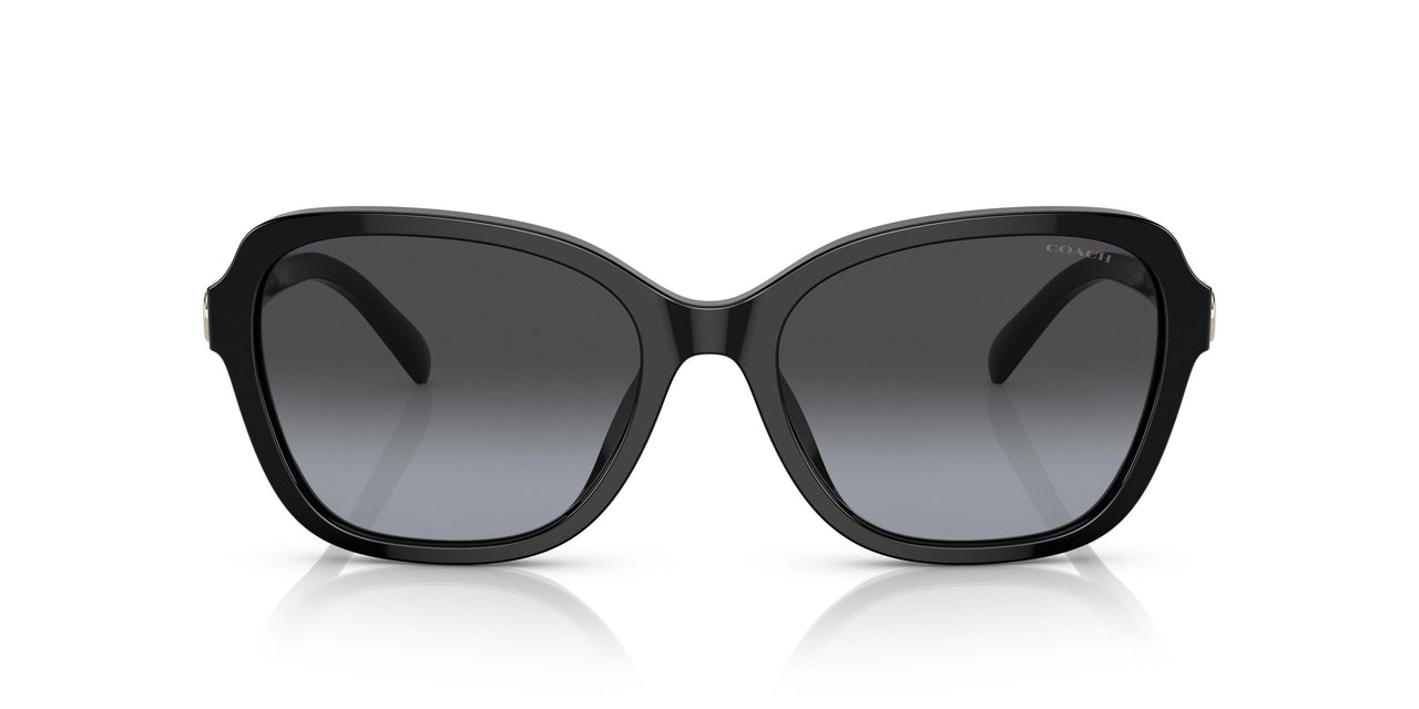 50028G - Black - Grey Gradient