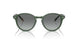 309211 - Green - Grey Gradient