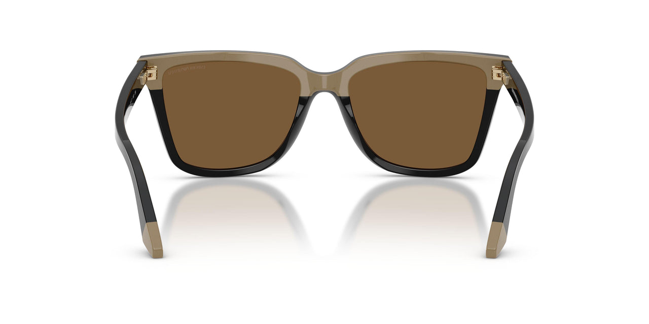 631373 - Black - Brown