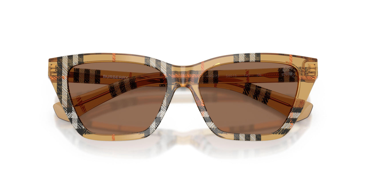 416373 - Brown - Dark Brown