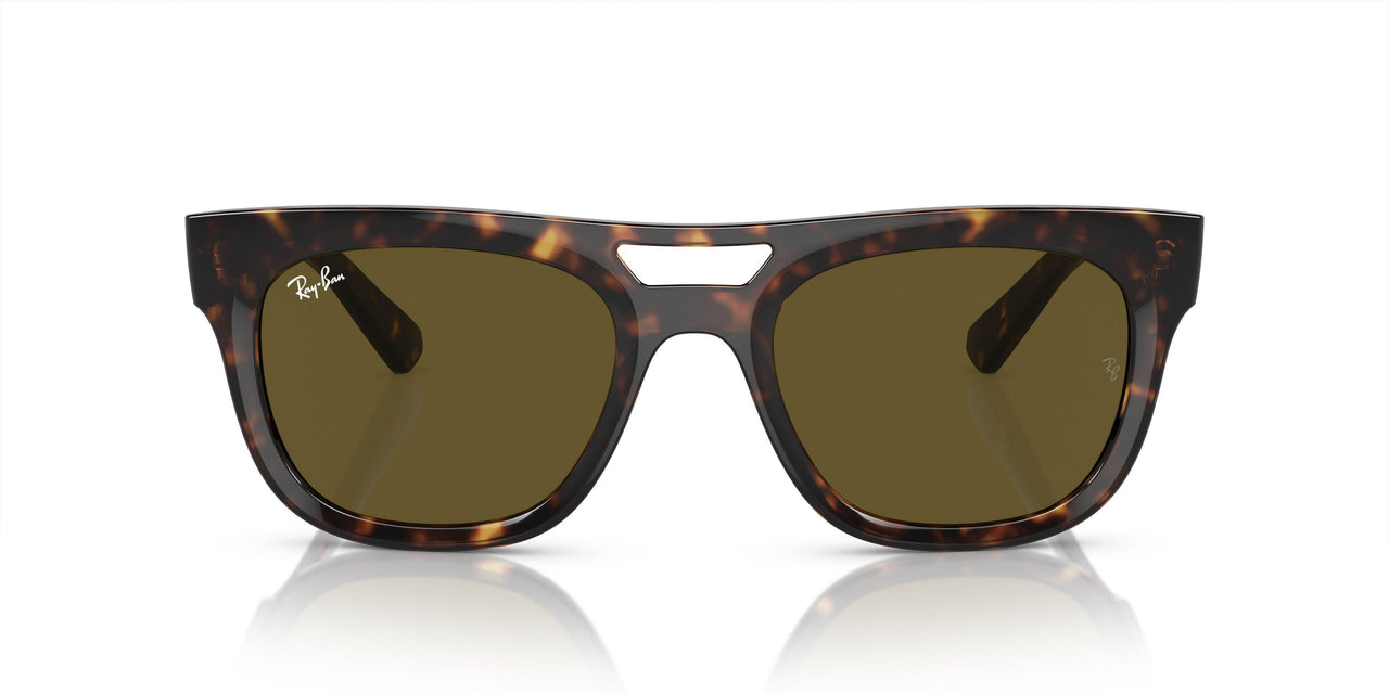 135973 - Tortoise - Dark Brown