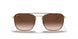 905513 - Brown - Brown Gradient Dark Brown