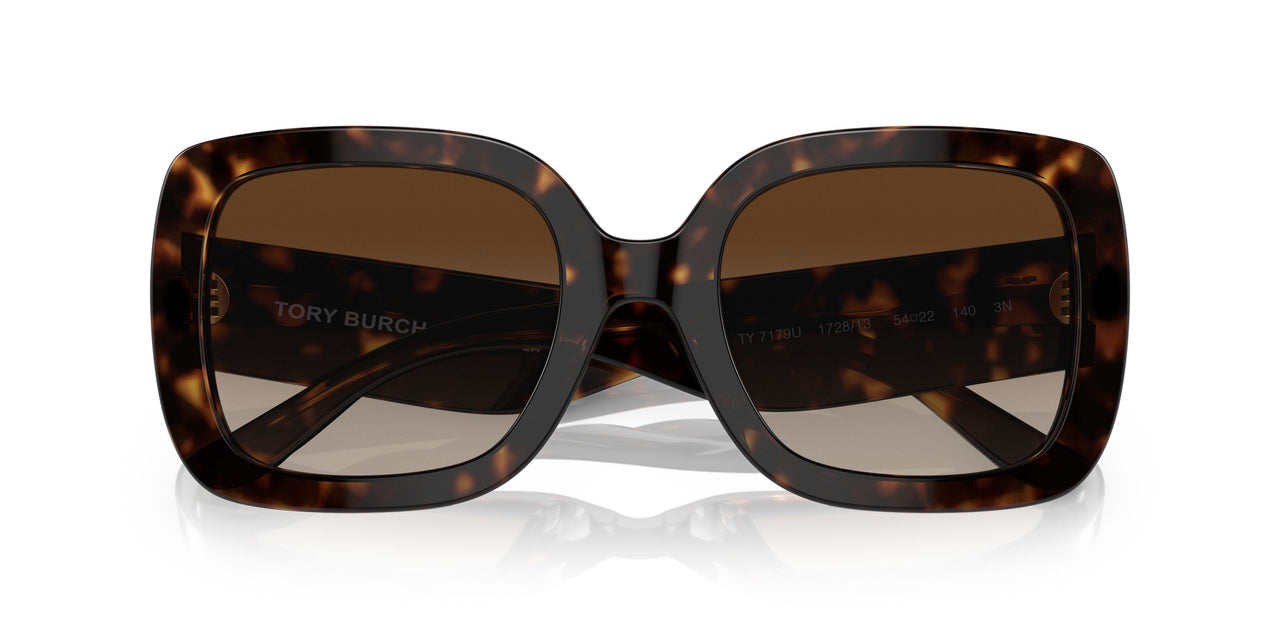 172813 - Havana - Brown Gradient