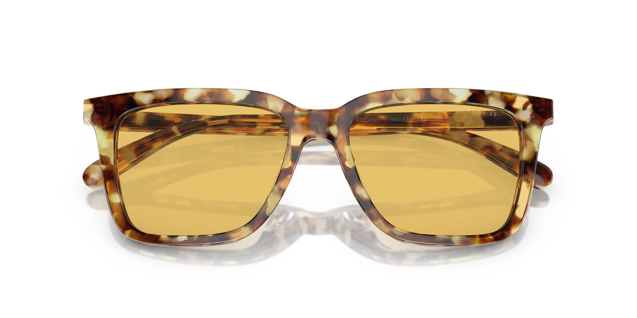 504585 - Tortoise - Amber Solid